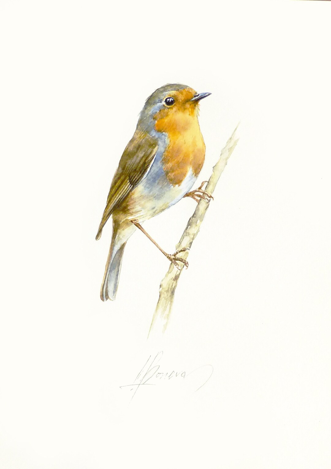 Robin Bird Painting, ORIGINAL Watercolor, Bird Artwork, Bird Lovers ...