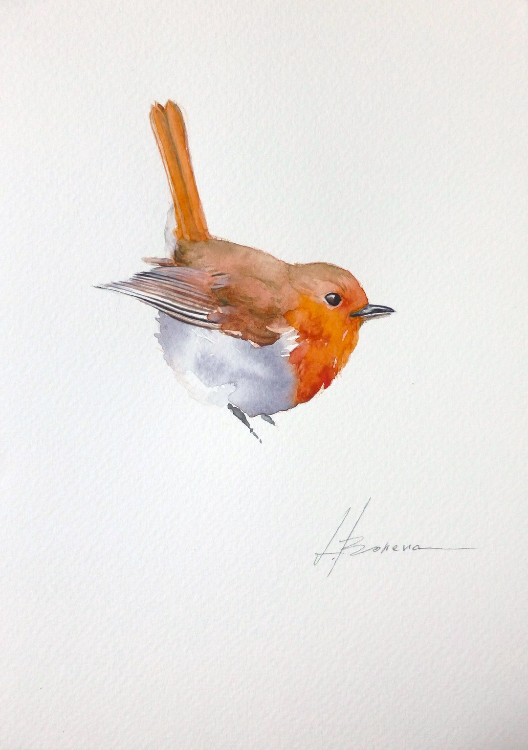 Robin Bird Watercolor Painting, Handmade Artwork, Bird Wall Decor - Etsy