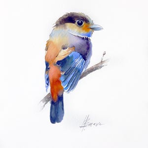 Original Watercolor Painting, Bird Artwork, Bird Wall Decor,  Nature Art, Bird Illustration, Bird Lovers Gift, Colorful Bird At