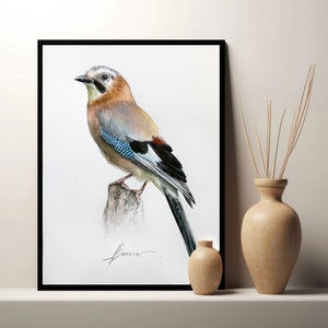 Eichelhäher, Fine Art Druck vom Original Aquarell, Vogel Kunstwerk, Natur Kunst, Vogel Wandkunst