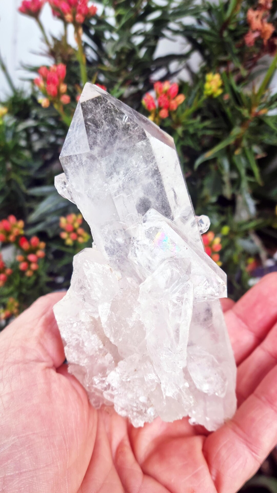 Botryoidal Radial Quartz Germinated Botryoidal Quartz Points. - Etsy