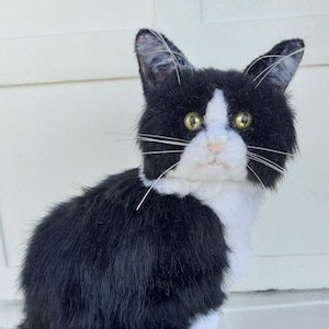 Könnte beinhalten: Eine schwarz-weiße Katze mit grünen Augen sitzt auf einer weißen Oberfläche. Die Katze hat einen weißen Fleck auf der Brust und einen weißen Streifen im Gesicht.