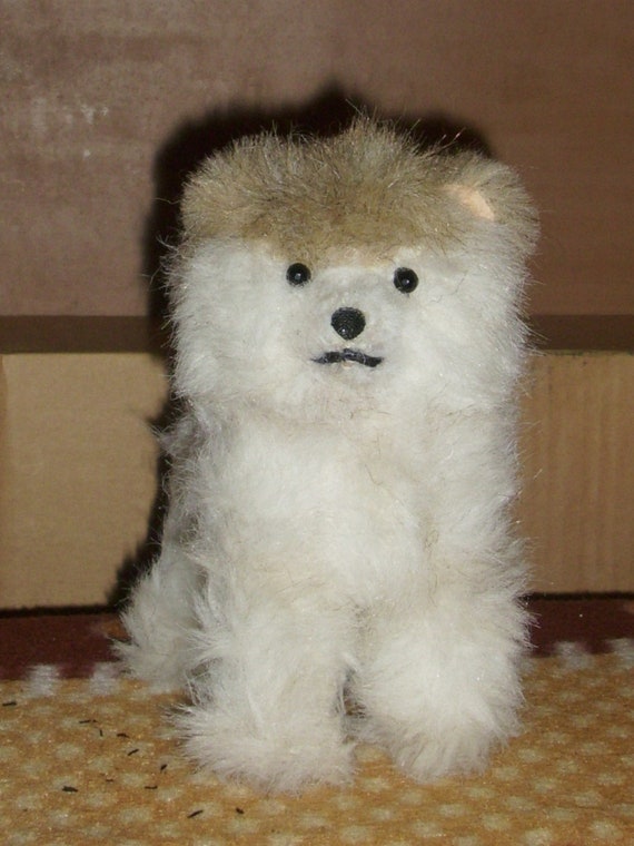 pomeranian boo teddy