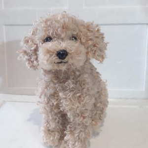 Puede incluir: Una escultura de fieltro de aguja hecha a mano de un perro pequeño con fibras de lana beige rizadas. La figura presenta una cabeza redondeada, orejas caídas, ojos de cuentas oscuras y una pequeña nariz negra, imitando a un cachorro tipo caniche.