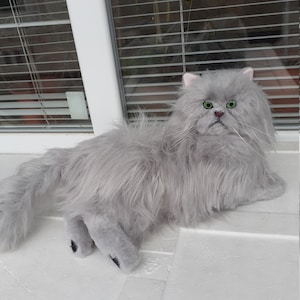Plush Grey Persian Cat