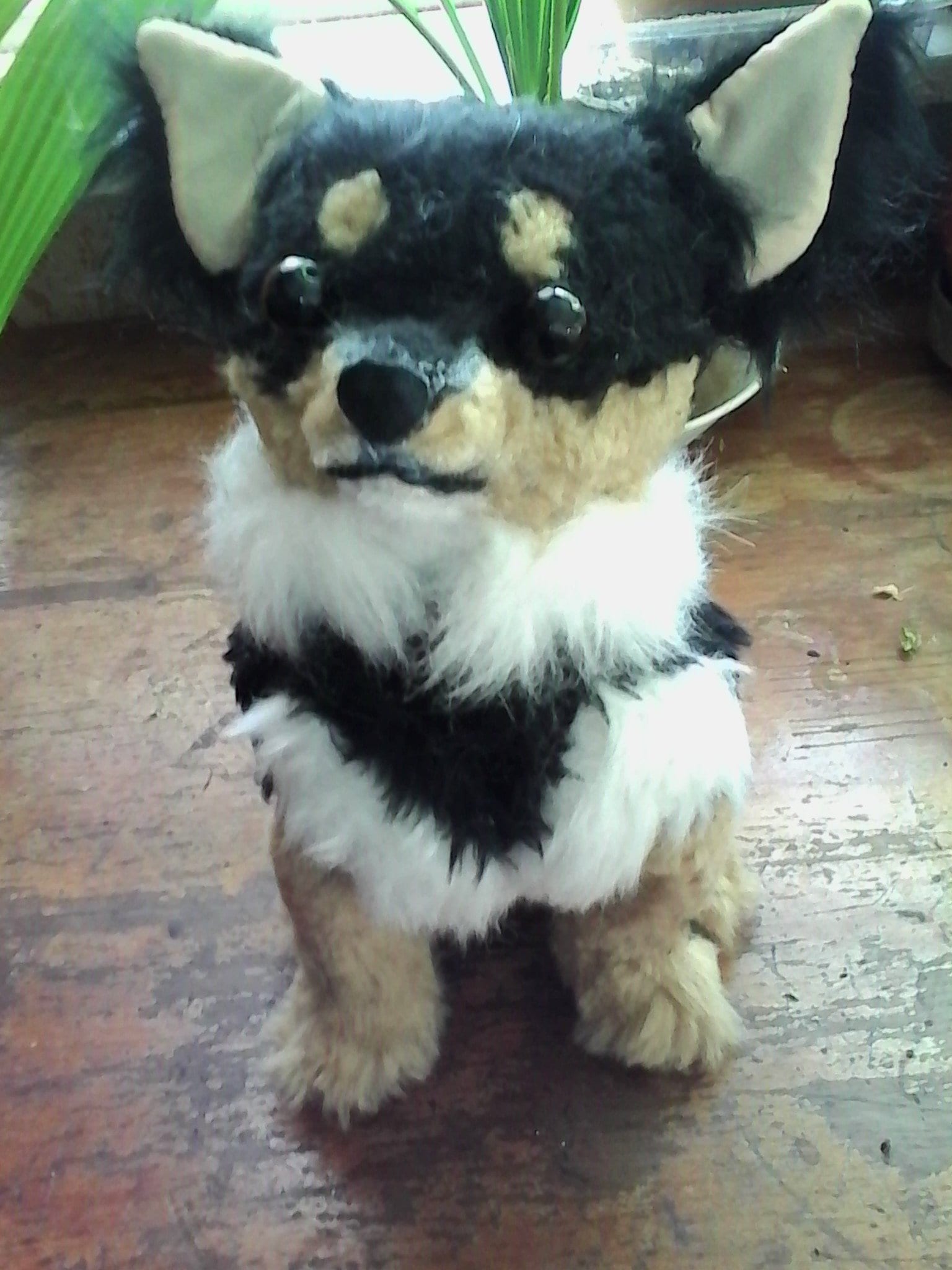 stuffed long haired chihuahua
