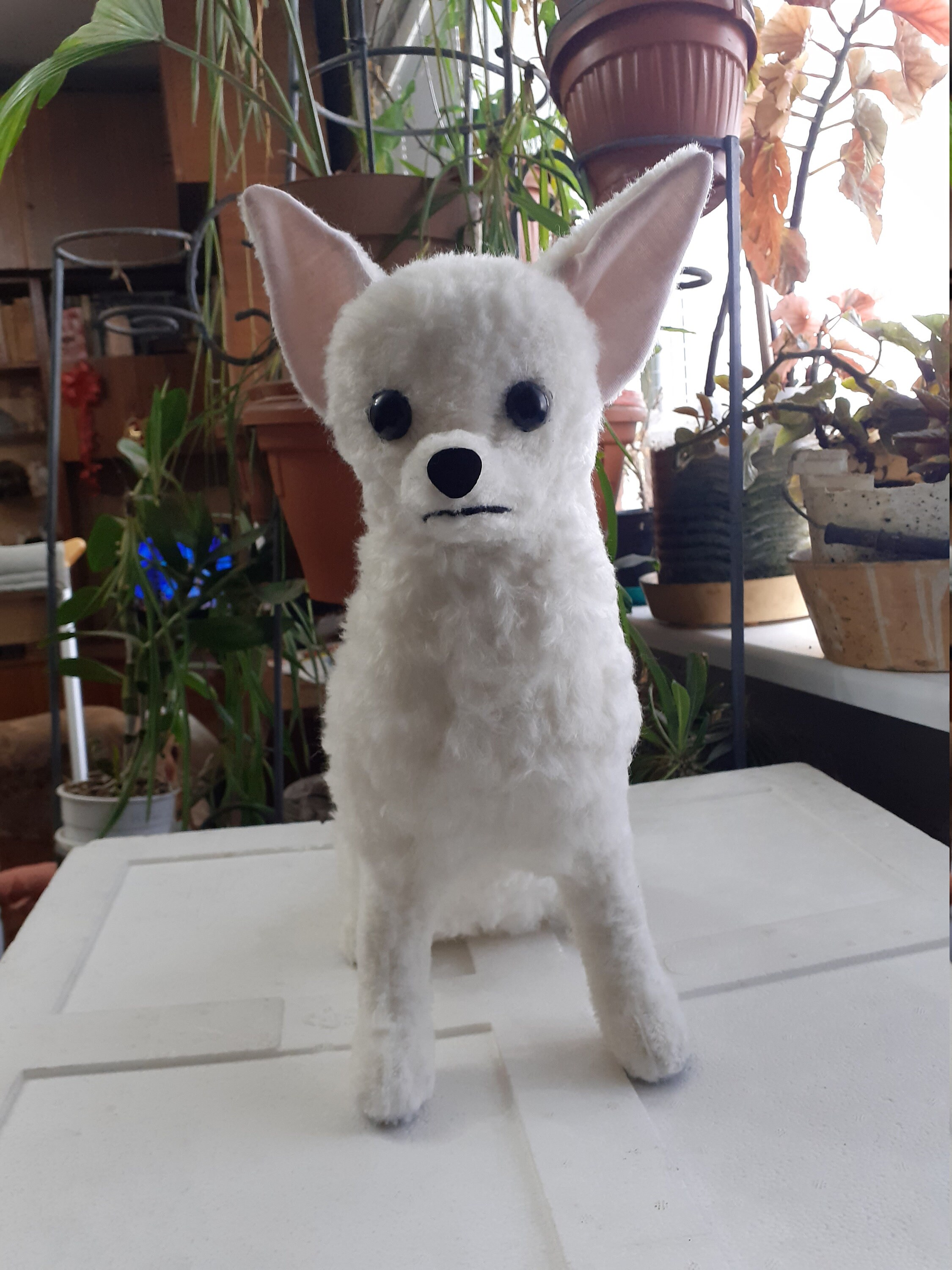 White 2024 chihuahua plush