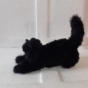 Plush Playful Black Kitten