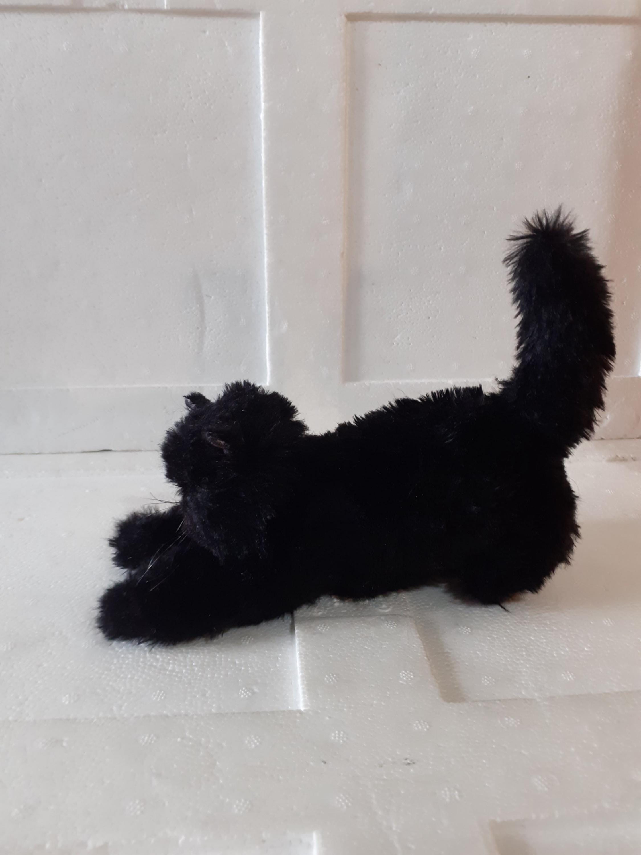 Plush Playful Black Kitten