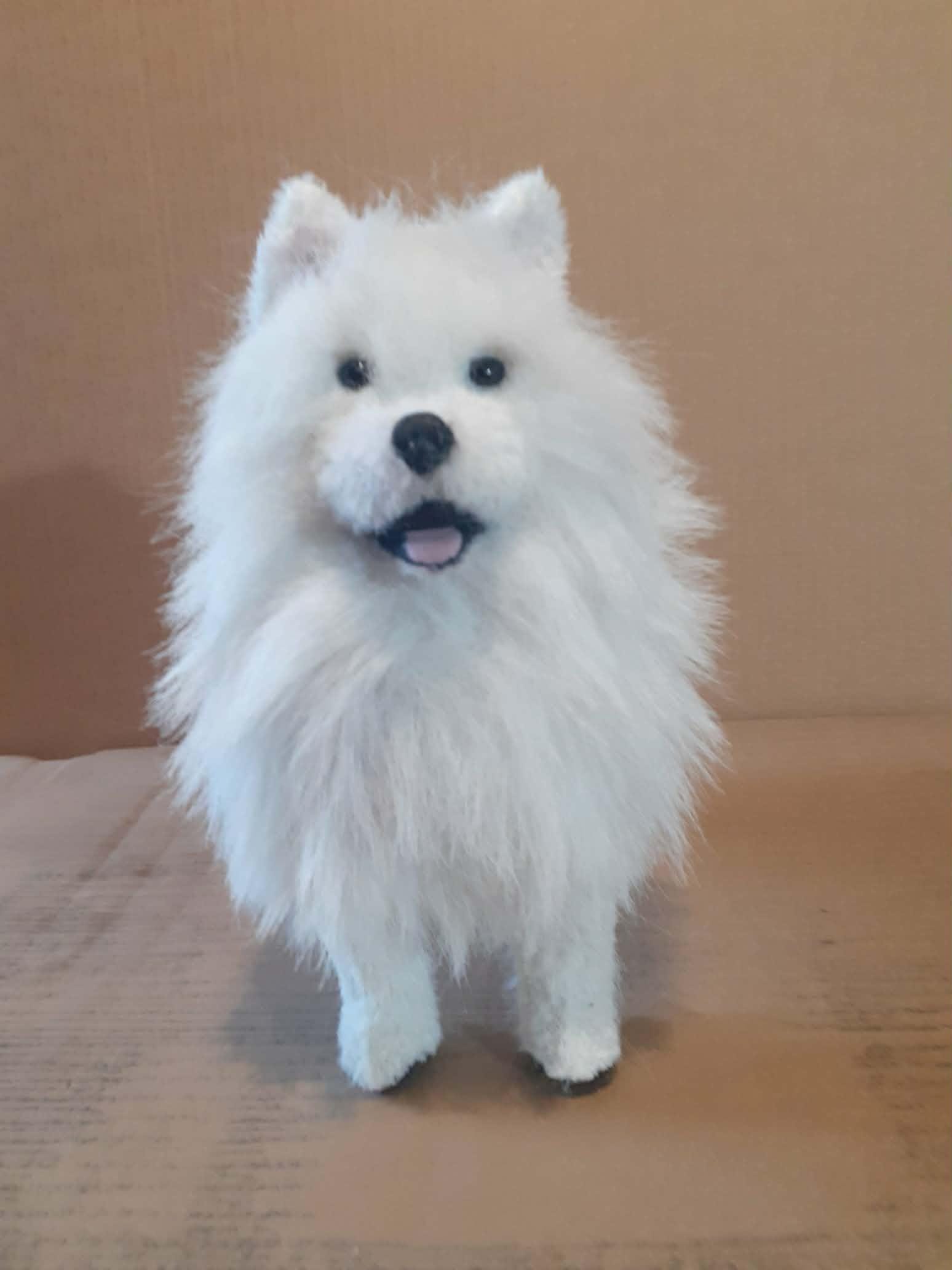 Miniature Samoyed - Etsy Canada