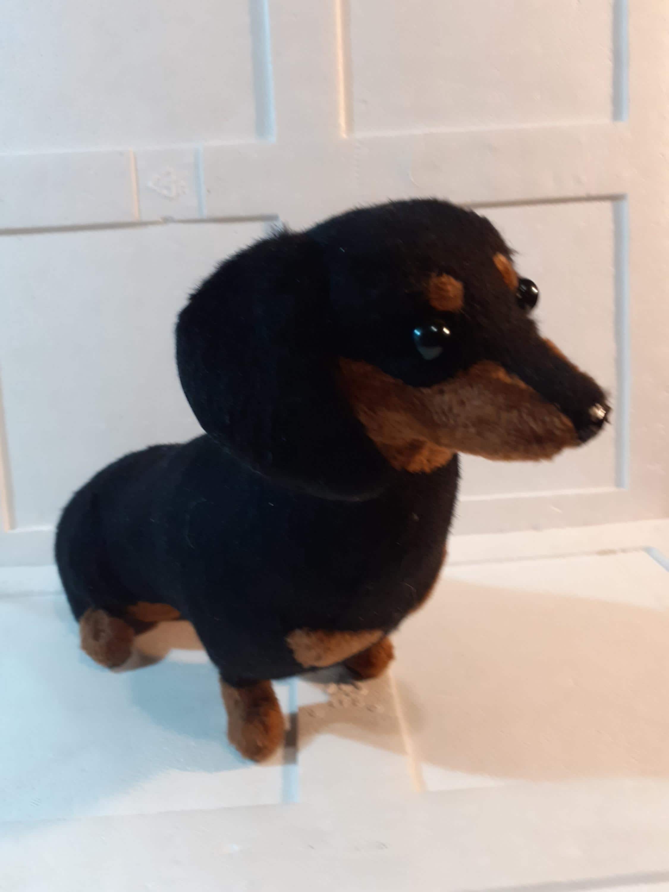黒と茶色のダックスフンドのぬいぐるみ - Etsy 日本
