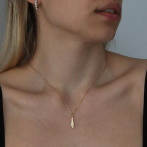 Délicat collier carte d'Israël avec zircon - Disponible en argent ou plaqué or 14 carats, longueurs de chaîne réglables, bijoux résistants à l'eau