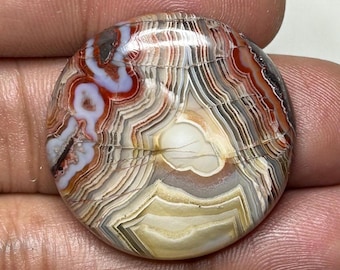 アリゾナ産ターコイズインレイアンモナイト化石 24x21x5 MM、18.40