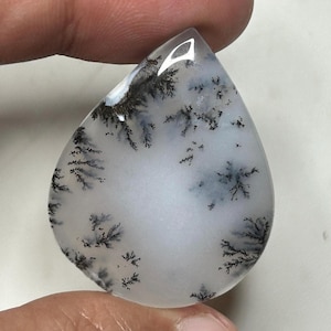 Puede incluir: Una gema en forma de lágrima con una base blanca e intrincadas inclusiones dendríticas negras que se asemejan a ramas de árboles. La superficie pulida refleja la luz, resaltando los patrones naturales dentro de la piedra. La gema se sostiene entre los dedos.