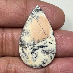 Könnte beinhalten: Polierter, tropfenförmiger Edelstein. Er hat eine cremefarbene Basis, einen pfirsichfarbenen Mittelteil und detaillierte schwarze dendritische Muster. Die Muster ähneln Baumzweigen und verleihen dem Stein ein natürliches Aussehen.