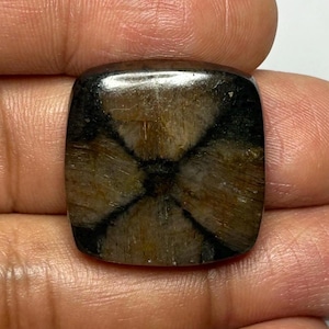 チアストライト カボション宝石 ナチュラル 22x22x6 MM、41.40 カラット