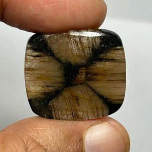 チアストライト カボション宝石 ナチュラル 24x22x4 MM、26.80 カラット