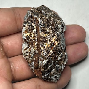 May include: A rough, natural mineral specimen with a mix of brown, gold, and silver tones. The stone has a layered, crystalline structure with reflective surfaces. The mineral is held in a hand, showcasing its size and texture.