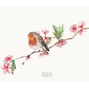 Robin and Blossom Wall Print image 2