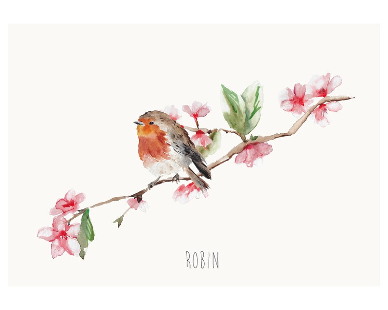 Robin and Blossom Wall Print image 2
