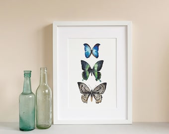 Butterfly Trio Watercolour Fine Art Print