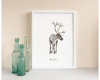 Reindeer - Personalised Watercolour Fine Art Print