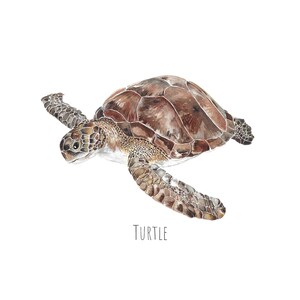 Sea Turtle Personalised Watercolour Fine Art Print image 2