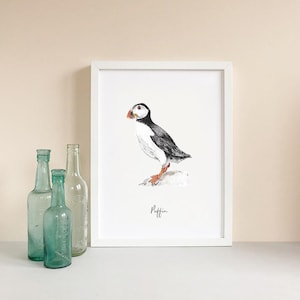 Puffin - Personalised Watercolour Fine Art Print