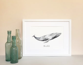 Blue Whale  - Personalised Watercolour Fine Art Print