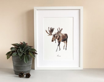 Moose - Personalised Watercolour Fine Art Print