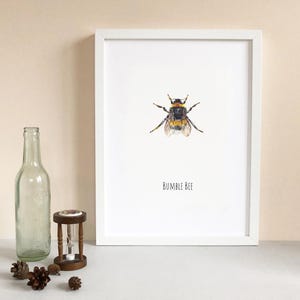 Bumble Bee Watercolour Fine Art Print