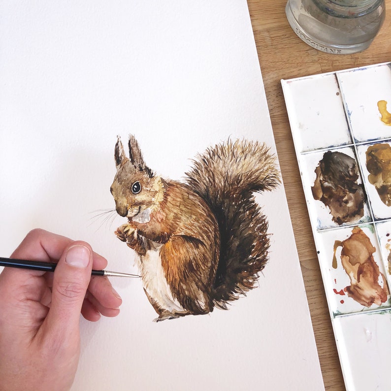 Painted Squirrel Watercolour Art Print image 4
