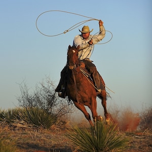 46_Cowboy Roper Decoupage Stoff, Deborah Bucher Designs,Cowboy, Pferde, Seile, Dekoratives Decoupage Stoff, 50X72 cm, Western