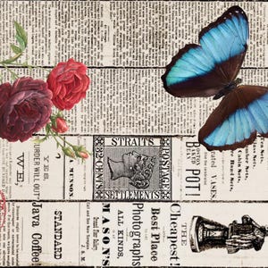 35_W dzisiejszych wiadomościach - Deborah Bucher Designs, wydruk gazetowy, efemeryda, róża, motyl, papier do decoupage'u, 18 funtów, 21 x 29 cali,