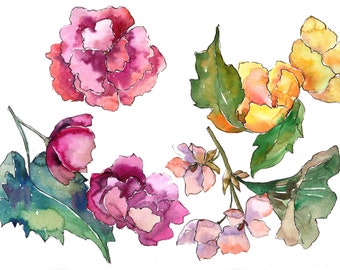 Gardenia drawing | Etsy