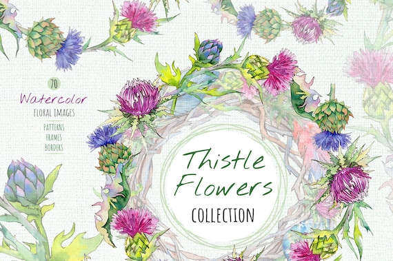 Hand Painted Wedding Invitation Thistle Flowers Watercolor Set Greeting Cards Digital Flowers Free Commercial Use Clipart DIY Invites
