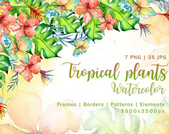 Tropical plant PNG watercolor set