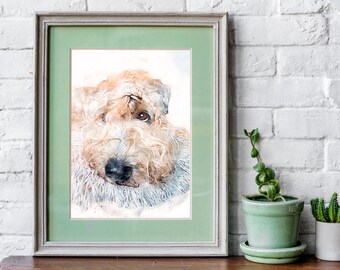 Wheaten Terrier Art, Soft Coated Wheaten Terrier Art, Wheaten Terrier, Wheaten Illustration, Wheaten Terrier Print, Wheaten Terrier Images