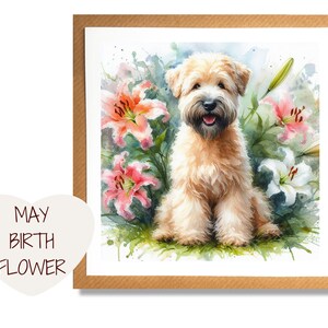 Carte de Terrier Wheaten, carte Wheaten Terrier, carte de fête des mères, carte de fête des mères Wheaten Terrier, fleur de naissance de mai