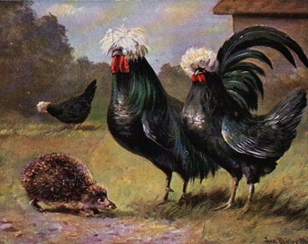 Chicken In Top Hat Etsy