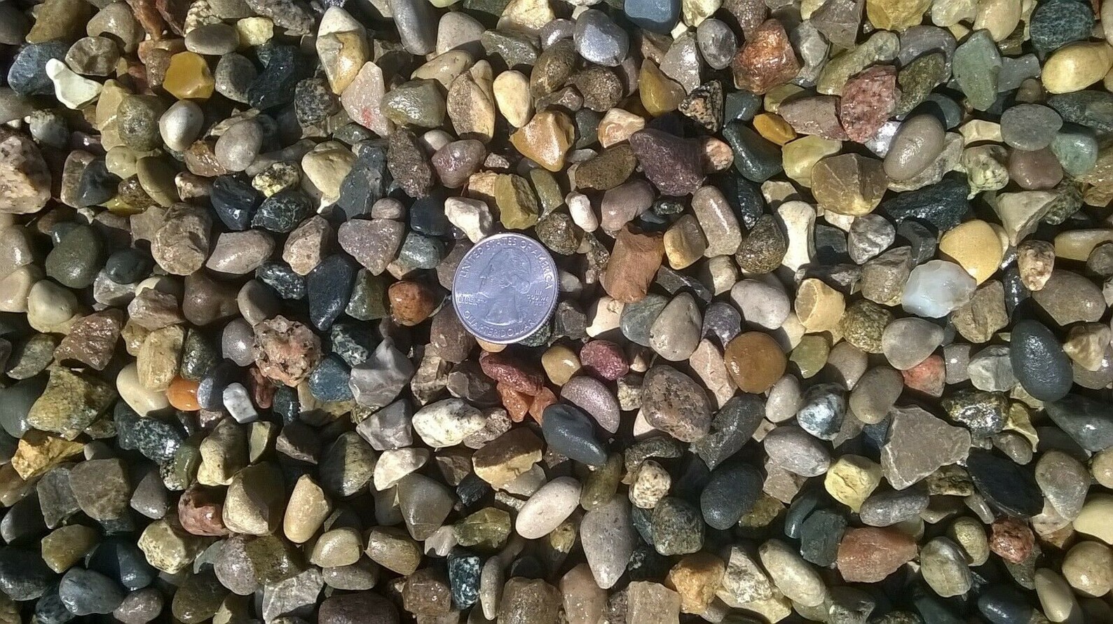 Natural Aquarium Gravel River Rock Stone Fish Tank Substrate. Etsy