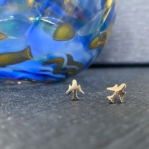 Jet earrings, brushed stainless steel