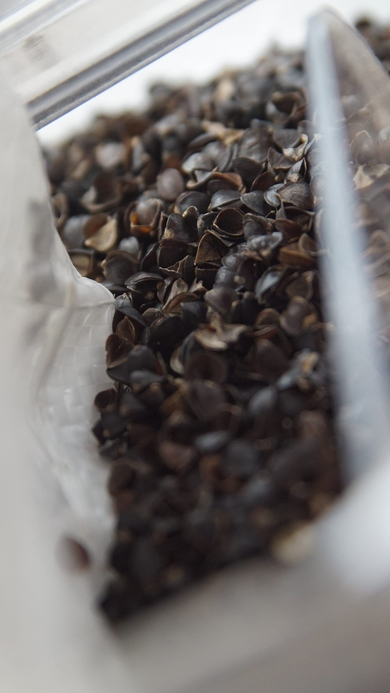 Fullback Buckwheat Body Pillow Sleep Pillow Cover Etsy