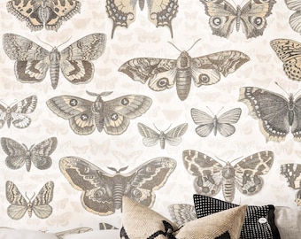 Tapeta vintage w stonowanych kolorach z motylami i ćmami. Biała kawa, migdałowy, grullo, mokka, pastelowa szarość, holenderska biel i odcienie kości słoniowej.