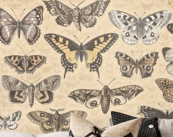 Butterflies & Moths Dutch White Background Vintage Wallpaper. Willow Gray, Dark Vanilla, Light Taupe, Grullo, Beaver and Mocha Color Shades