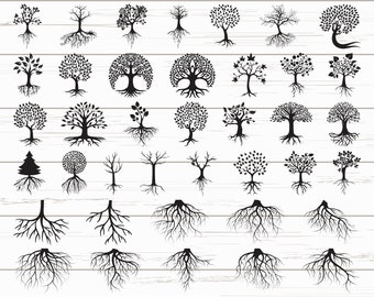 Free Free 256 Svg Family Tree Generator SVG PNG EPS DXF File