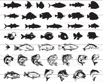 Download Fishing Svg Etsy