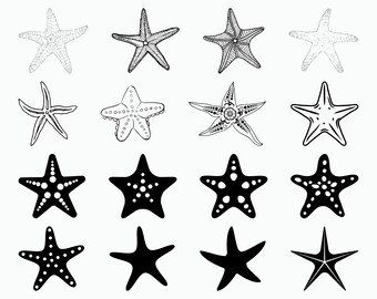 Starfish Svg Starfish Silhouette Starfish Clipart Starfish Etsy