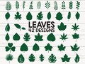 Paper Leaves SVG/ Leaf Templates/ Cut Files for Cricut/ Silhouette/ Clipart/ Vector
