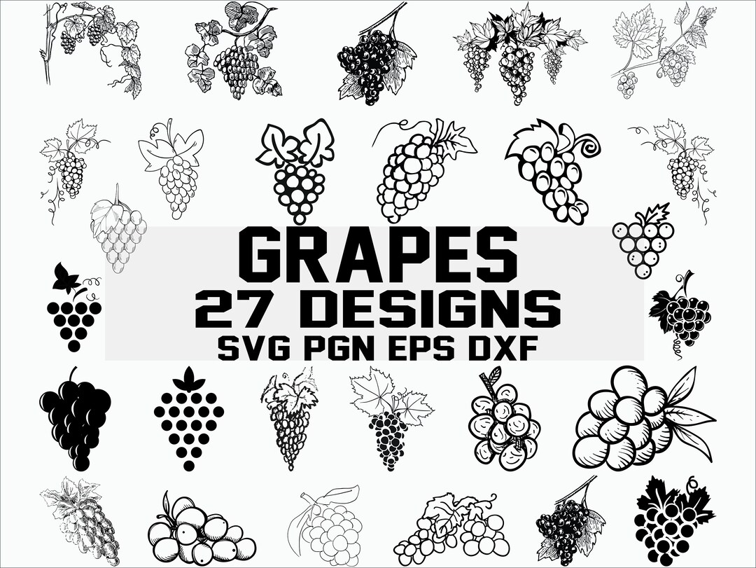 Grape Svg/ Wine Svg/ Vineyard Svg/ Fruits Svg/ Clipart/ Silhouette